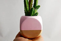 Cool Small Cactus Ideas For Home Decoration 48