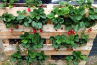 Genius DIY Projects Pallet For Garden Design Ideas 23