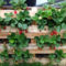 Genius DIY Projects Pallet For Garden Design Ideas 23