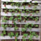 Genius DIY Projects Pallet For Garden Design Ideas 38