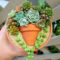 Best Ideas For Garden Succulent Landscaping 02
