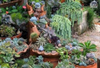 Best Ideas For Garden Succulent Landscaping 34