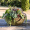 Best Ideas For Garden Succulent Landscaping 38