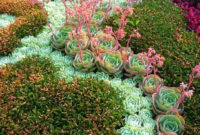 Best Ideas For Garden Succulent Landscaping 43