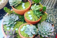 Best Ideas For Garden Succulent Landscaping 44