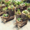 Best Ideas For Garden Succulent Landscaping 46