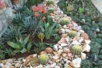 Best Ideas For Garden Succulent Landscaping 47
