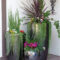 Modern Plant In Pot Ideas For Your House Decoration 02