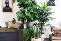 Modern Plant In Pot Ideas For Your House Decoration 40