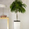 Modern Plant In Pot Ideas For Your House Decoration 44