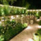 Astonishing Outdoor Lights For Decorating Backyards In Summer 08