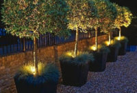 Astonishing Outdoor Lights For Decorating Backyards In Summer 16