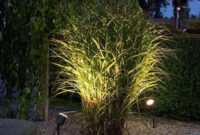 Astonishing Outdoor Lights For Decorating Backyards In Summer 43