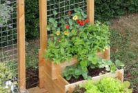 Extraordinary Vegetables Garden Ideas For Backyard 01