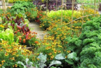 Extraordinary Vegetables Garden Ideas For Backyard 09