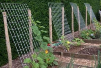 Extraordinary Vegetables Garden Ideas For Backyard 12