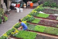 Extraordinary Vegetables Garden Ideas For Backyard 20