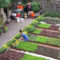 Extraordinary Vegetables Garden Ideas For Backyard 20