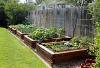 Extraordinary Vegetables Garden Ideas For Backyard 23