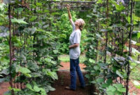 Extraordinary Vegetables Garden Ideas For Backyard 27