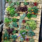 Extraordinary Vegetables Garden Ideas For Backyard 32