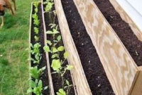 Extraordinary Vegetables Garden Ideas For Backyard 33