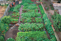 Extraordinary Vegetables Garden Ideas For Backyard 35