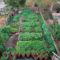 Extraordinary Vegetables Garden Ideas For Backyard 35