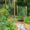 Extraordinary Vegetables Garden Ideas For Backyard 38