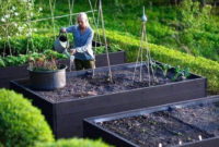 Extraordinary Vegetables Garden Ideas For Backyard 39