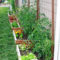 Extraordinary Vegetables Garden Ideas For Backyard 41