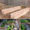 Extraordinary Vegetables Garden Ideas For Backyard 42